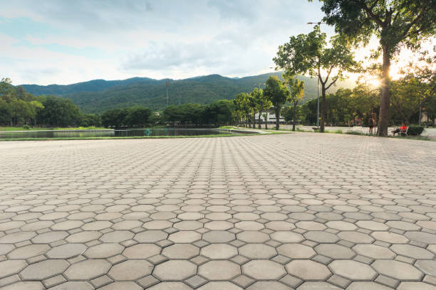 Best Commercial Driveway Pavers  in Cambridge, MD